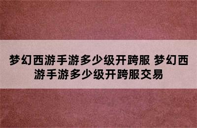 梦幻西游手游多少级开跨服 梦幻西游手游多少级开跨服交易